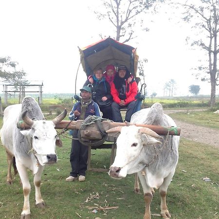 Everest Home Stay Apartment Lalitpur Zewnętrze zdjęcie