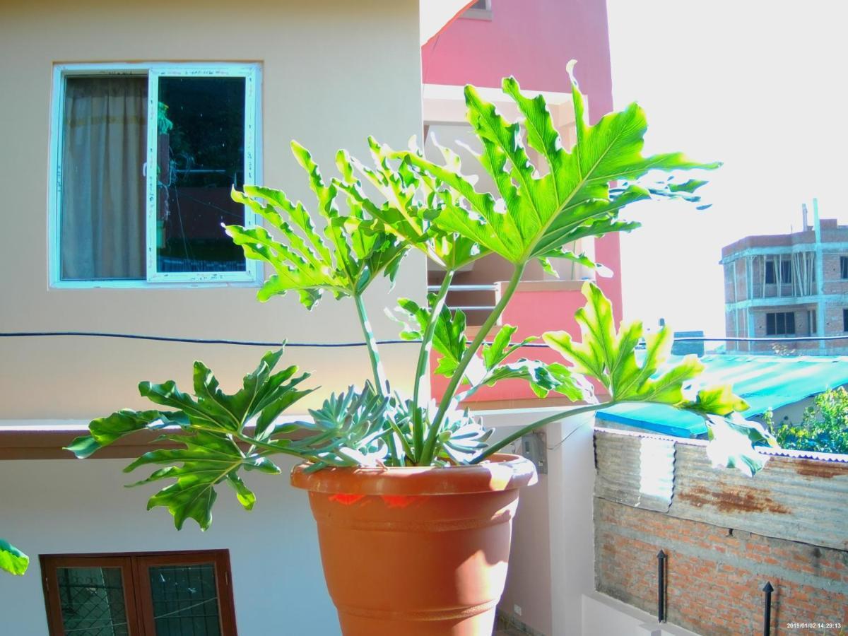 Everest Home Stay Apartment Lalitpur Zewnętrze zdjęcie